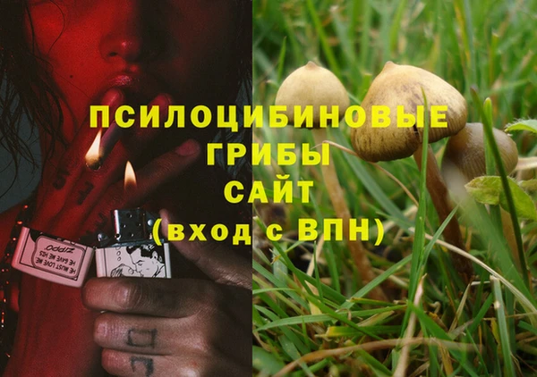 PSILOCYBIN Балахна